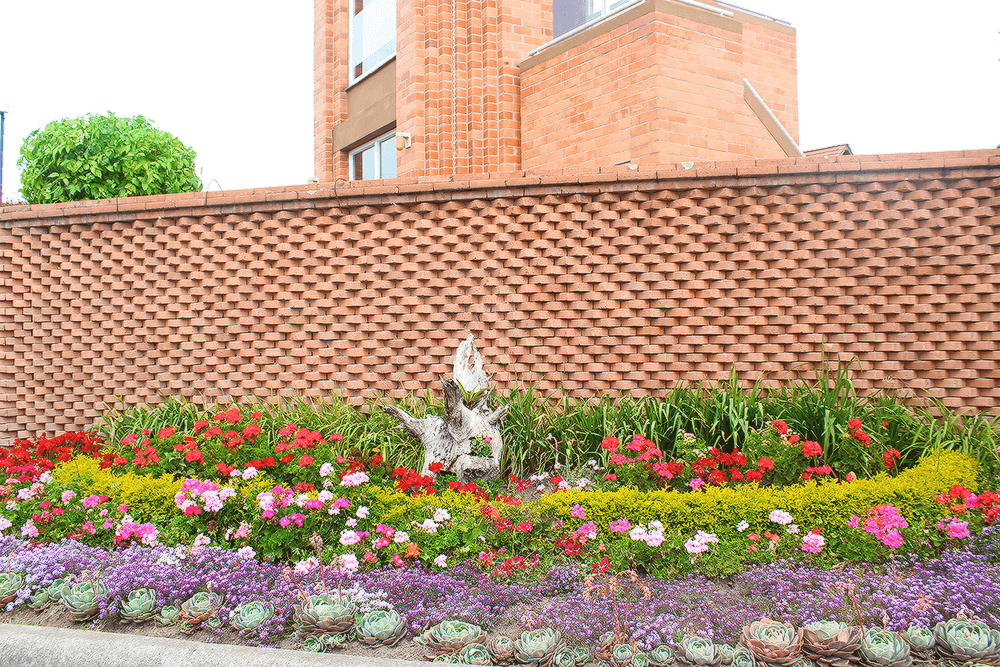 En este momento estás viendo 8 Consejos para cuidar tu Jardín en esta cuarentena
