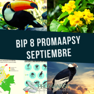 Lee más sobre el artículo Boletin informativo Promaapsy Septiembre