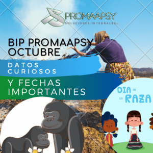 Lee más sobre el artículo Boletin informativo Promaapsy – Octubre