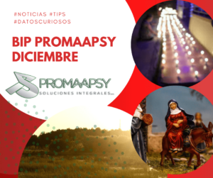 Lee más sobre el artículo Boletin informativo Promaapsy – Diciembre