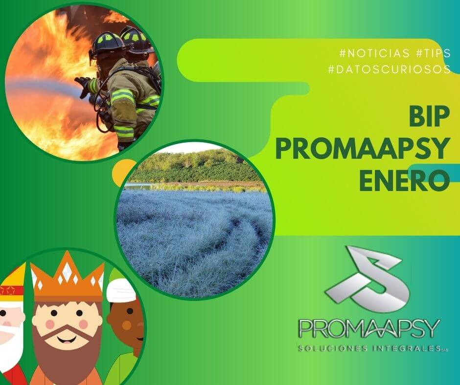 En este momento estás viendo Boletin informativo Promaapsy – Enero