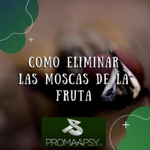 Lee más sobre el artículo Como eliminar las moscas de la fruta en casa