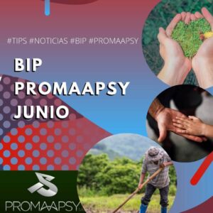 Lee más sobre el artículo Boletín informativo Promaapsy – Junio