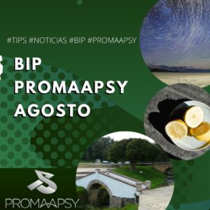 Lee más sobre el artículo Boletín informativo Promaapsy – Agosto