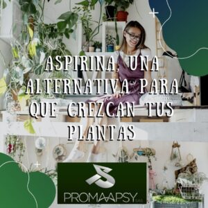 Lee más sobre el artículo Aspirina, una alternativa para que crezcan tus plantas