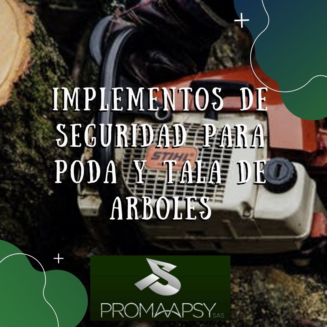 Lee más sobre el artículo Implementos de Seguridad para poda y tala de arboles