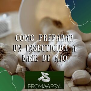 Lee más sobre el artículo Como preparar un Insecticida a Base de Ajo