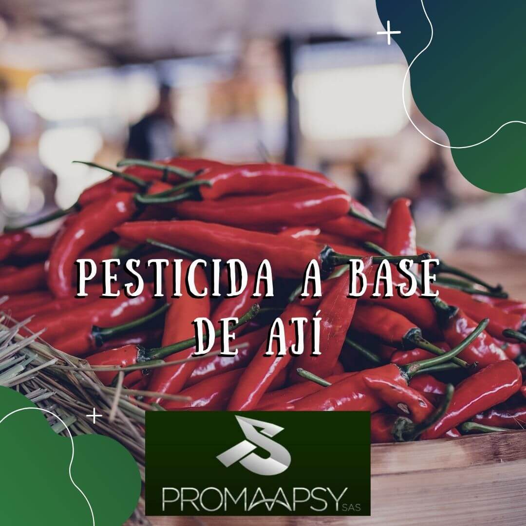 Lee más sobre el artículo Pesticida a base de Aji