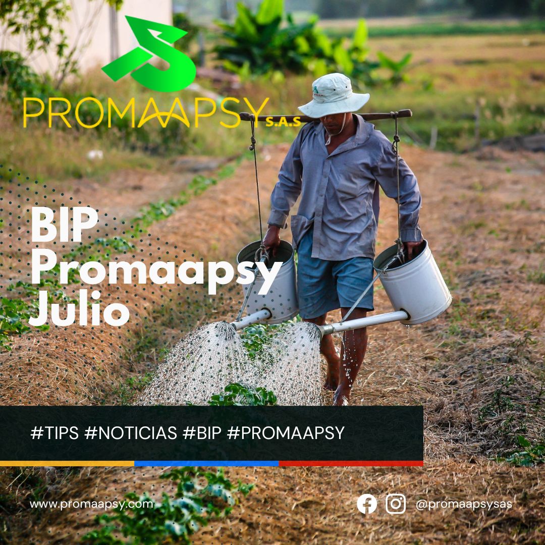 Lee más sobre el artículo Boletín informativo Promaapsy – Julio 2022